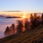 Knapp über dem Nebel, Schweiz