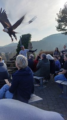 Knapp über den Köpfen - unbearbeiteter Handyschnappschuss