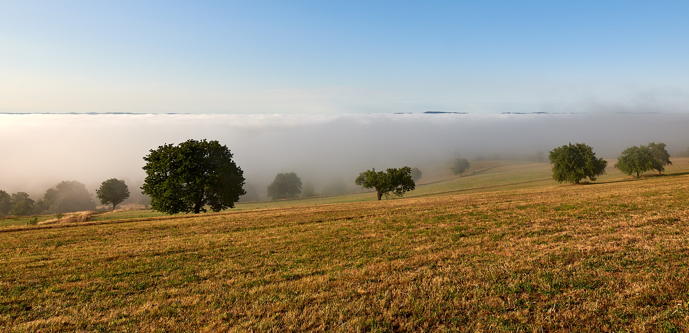 Knapp über der Baumgrenze..Aus der Serie, meine schönsten 40 Minuten im August Sommer 2018, nach...