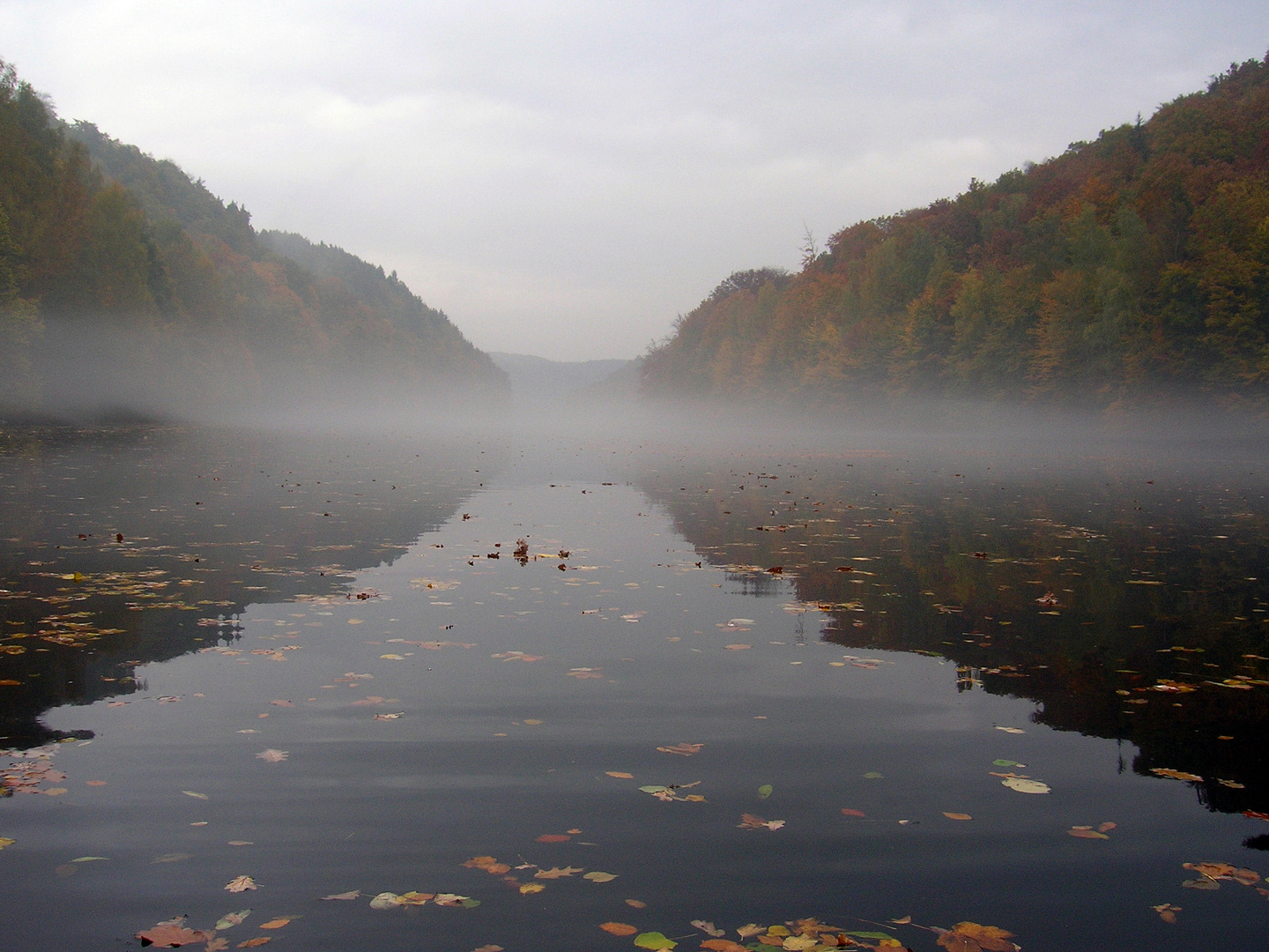 Knapp über Wasser