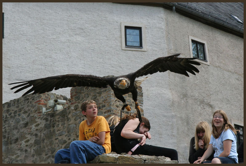 Knapper Überflug ;-)