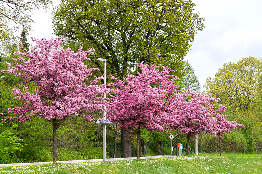 Kneippallee in Zirndorf