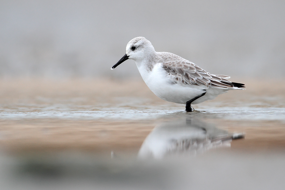 Kneippkur an der Nordsee