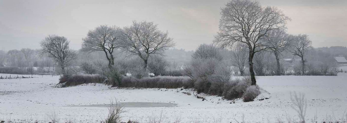 Knicklandschaft im Winter