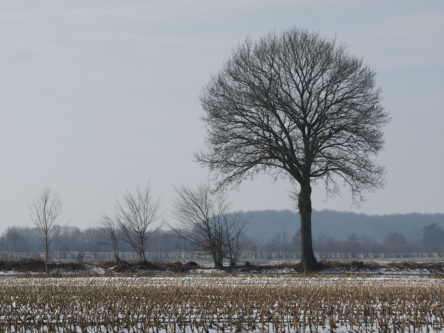 Knicklandschaft in Schleswig-Holstein