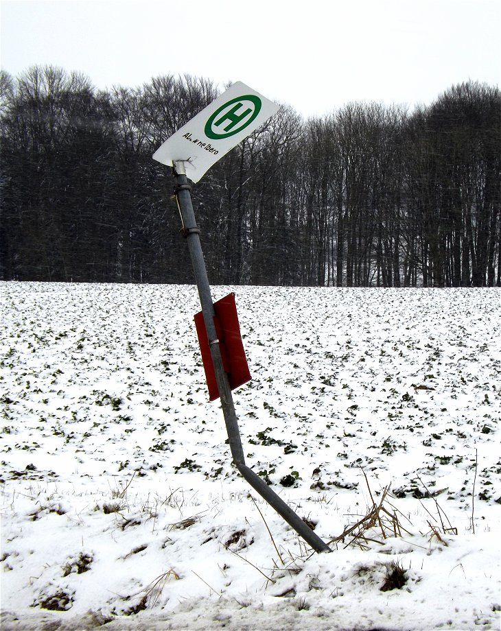 Knickschild