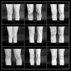 Knie-Portraits