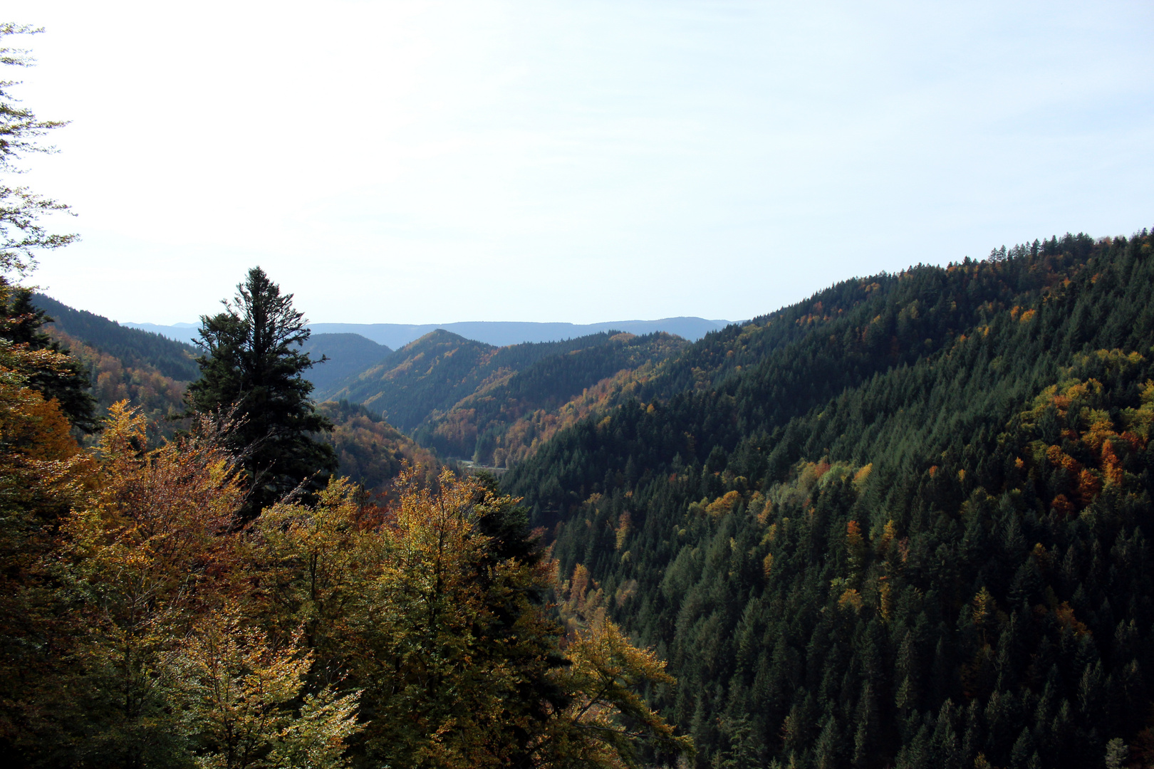 Kniebis - Blick in die Welt