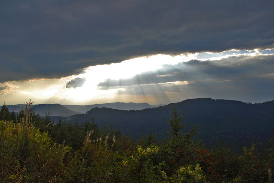 Kniebis im Schwarzwald