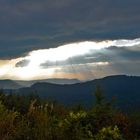 Kniebis im Schwarzwald