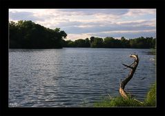 Knielinger See bei Karlsruhe am Rhein....