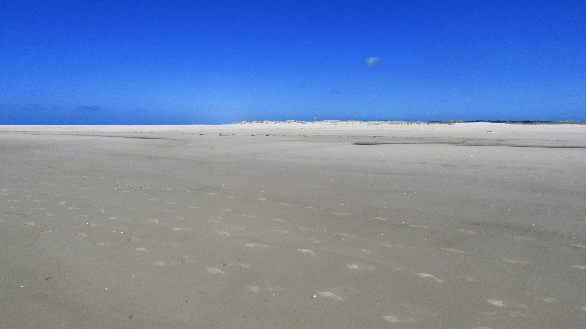 Kniepsand Amrum