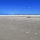 Kniepsand Amrum