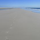 Kniepsand Amrum