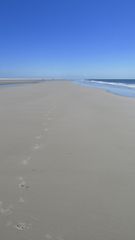 Kniepsand Amrum