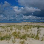 [ Kniepsand, Amrum ]