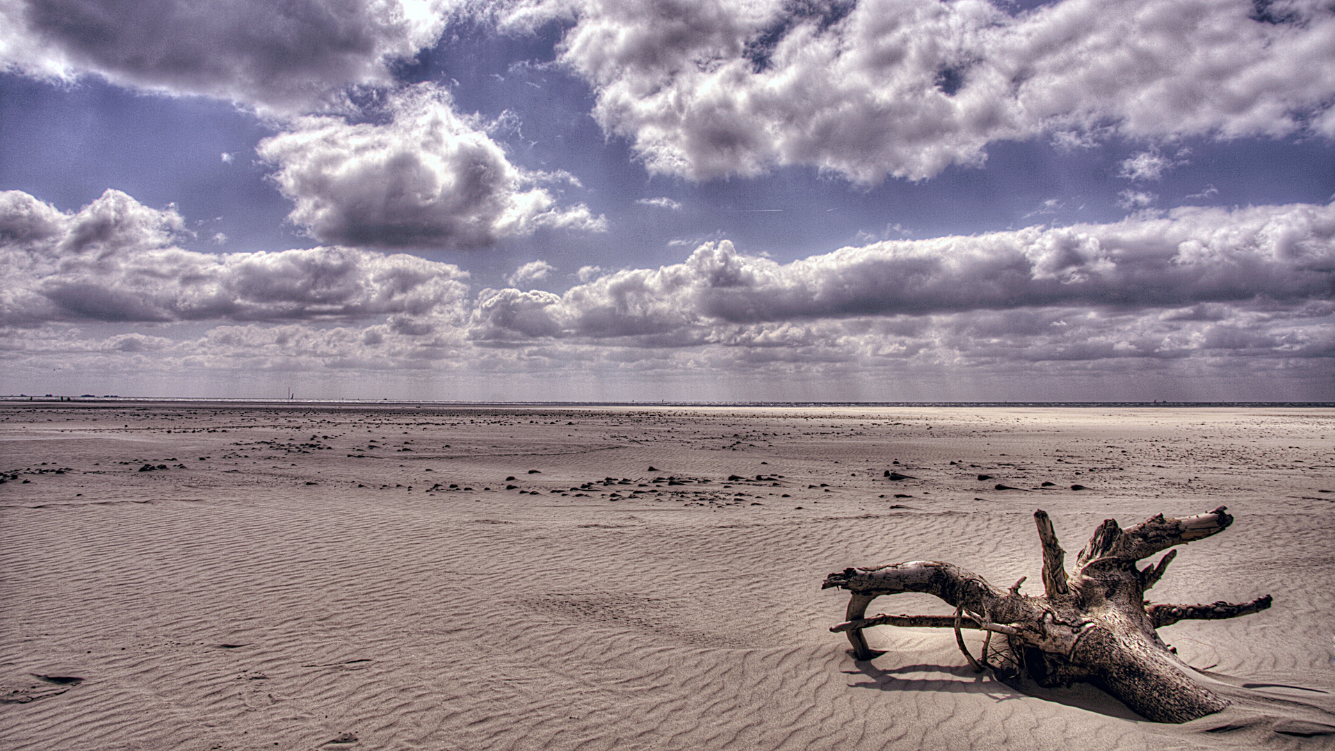 Kniepsand Amrum