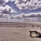 Kniepsand Amrum