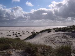 Kniepsand auf Amrum