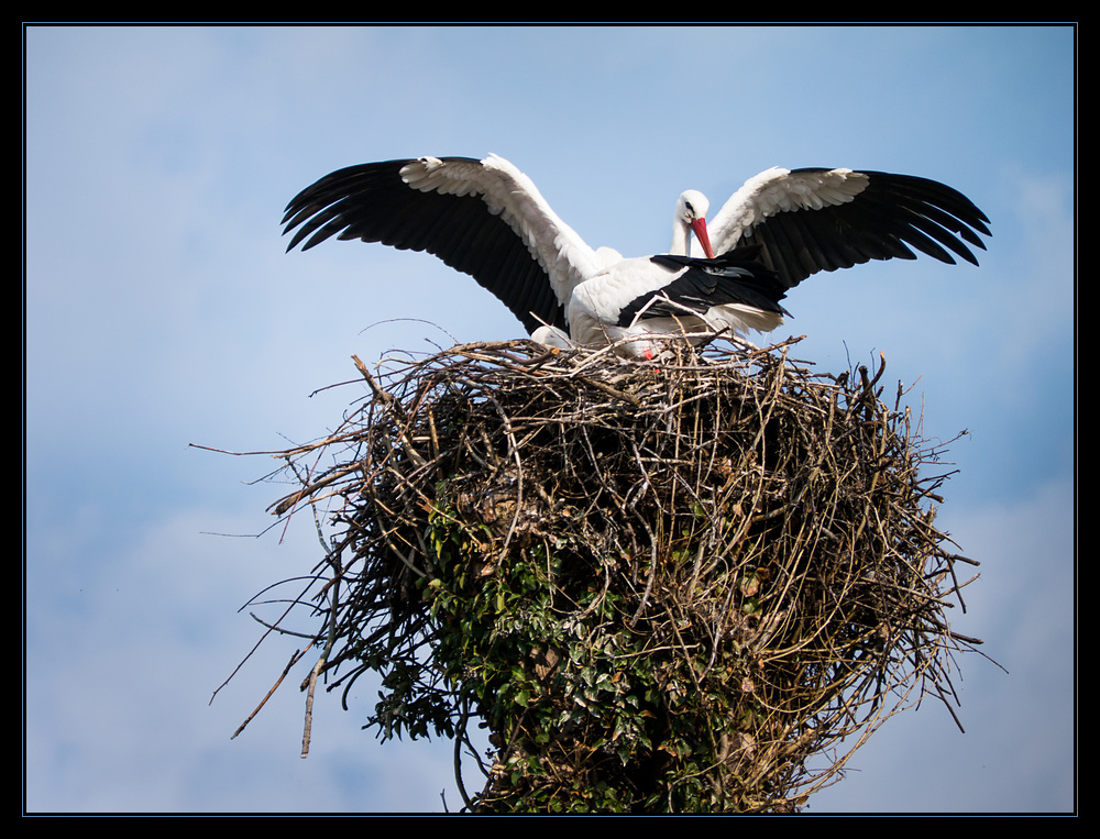 Knies Kinderzoo Rapperswil