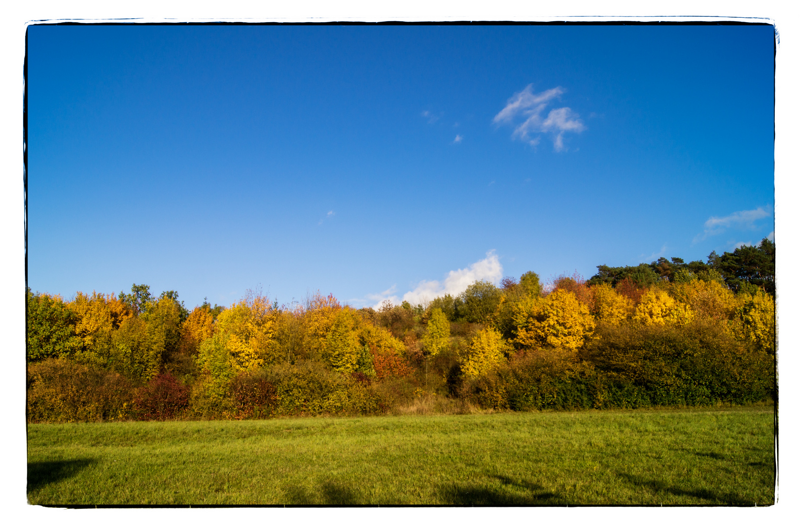 Knietief im Herbstnachmittag