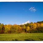 Knietief im Herbstnachmittag