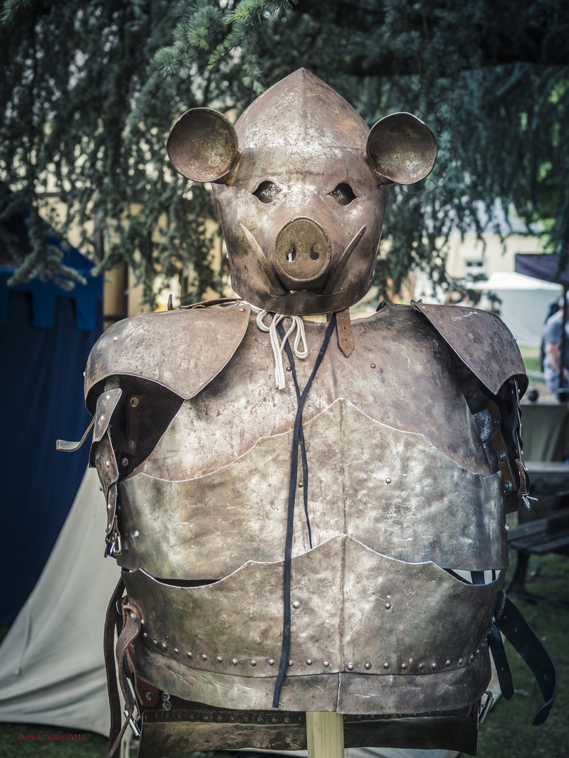 knight of pigs