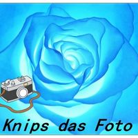 Knips das Foto