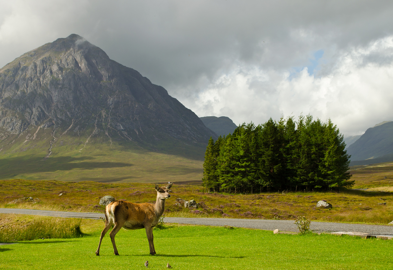 knloch-rannoch-3 (1 von 1)