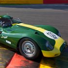 Knobbly Lister with Suixtil colors....