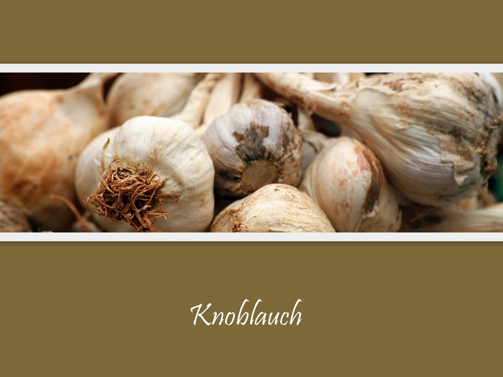 Knoblauch