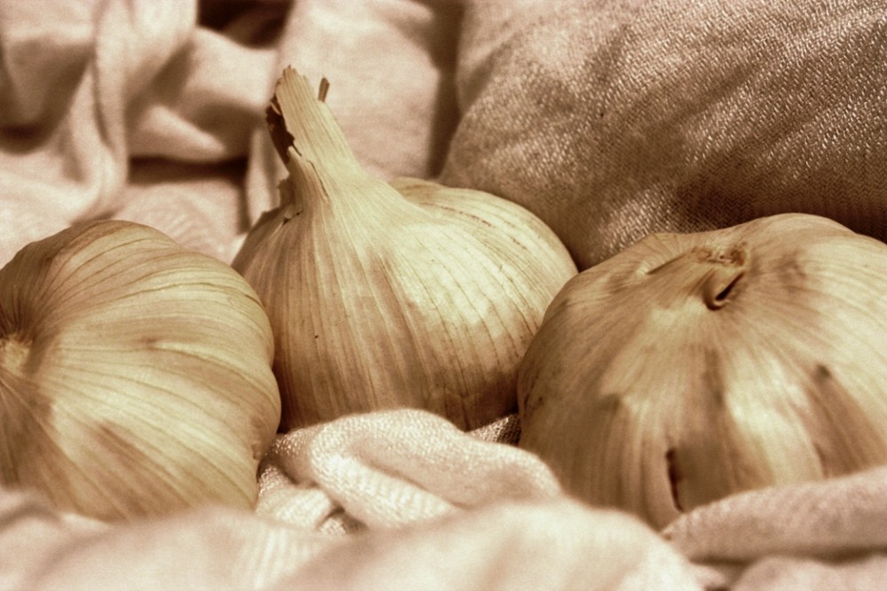 Knoblauch