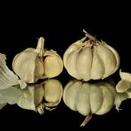 Knoblauch