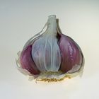 Knoblauch