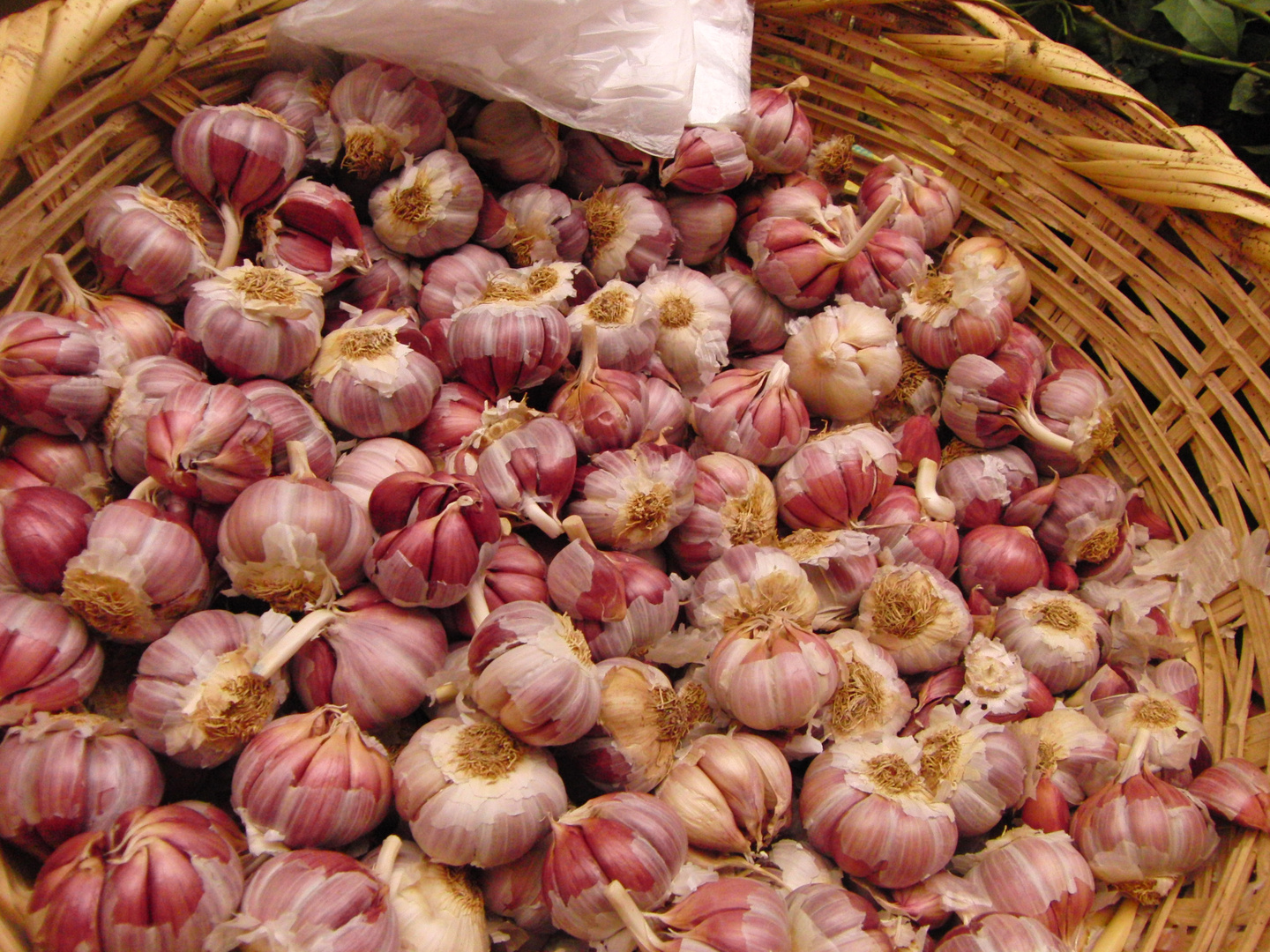 Knoblauch aus Marrakesh