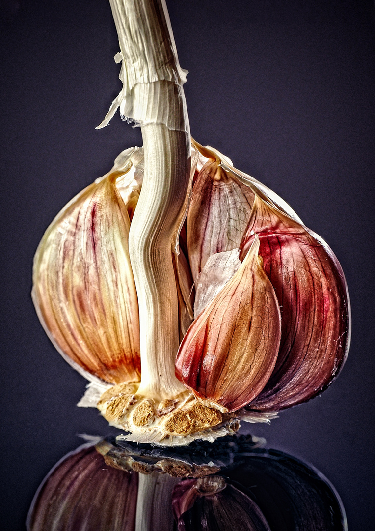 Knoblauch