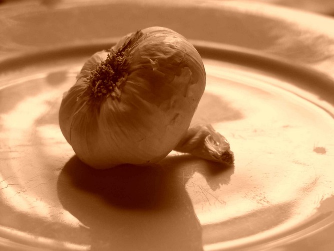 Knoblauch