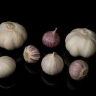 Knoblauch-Ensemble 2