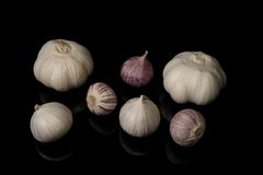 Knoblauch-Ensemble 2