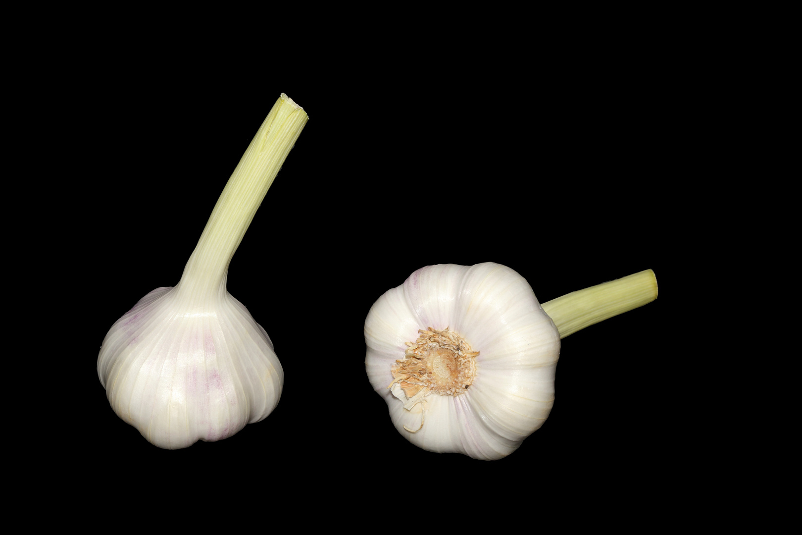 Knoblauch Q Foto Bild Stillleben Essen Trinken Obst Gemuse Bilder Auf Fotocommunity