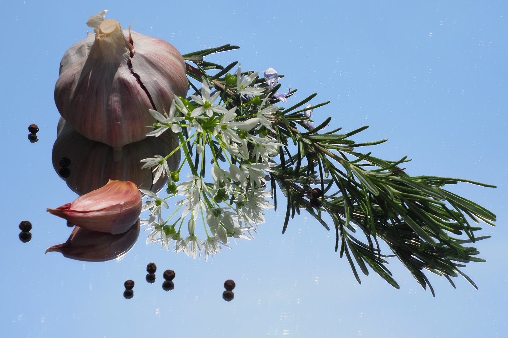 Knoblauch trifft Rosmarin Foto &amp; Bild | anfängerecke - nachgefragt ...