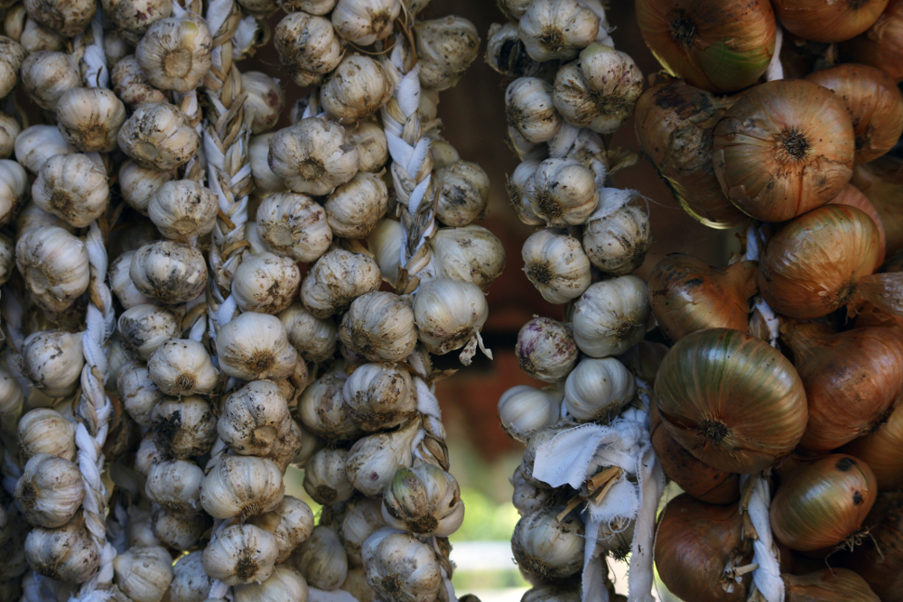 Knoblauch & Zwiebeln #01