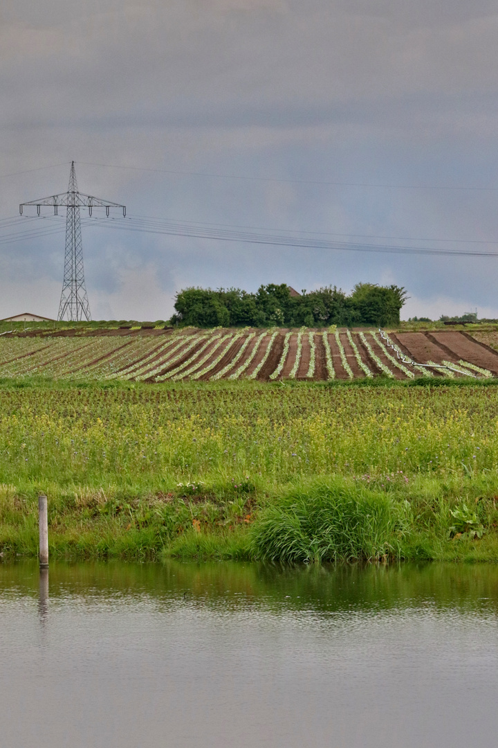 Knoblauchsland mit Blick nach Nürnberg von Fürth/Sack