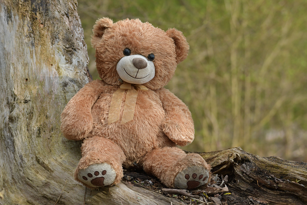 Knoblochsaue: Der batschnasse Rhein-Teddy