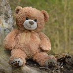 Knoblochsaue: Der batschnasse Rhein-Teddy