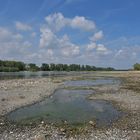 Knoblochsaue: Der von Wassersteinen „entpackte“ Rhein 02