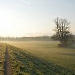 Knoblochsaue: Ganz früh am Morgen