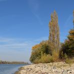 Knoblochsaue: Mehr Rhein – Strand nach Entfernung der Uferbefestigung01