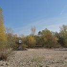 Knoblochsaue: Mehr Rhein – Strand nach Entfernung der Uferbefestigung03