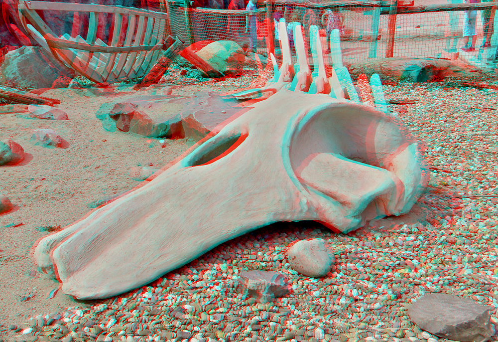 Knochen (3D für rot/cyan Brille)